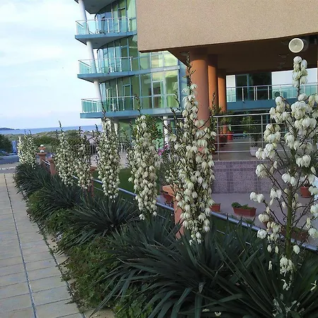 Hotel Venecia